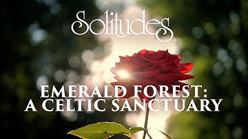 Dan Gibson’s Solitudes - The Black Rose | Emerald Forest: A Celtic Sanctuary