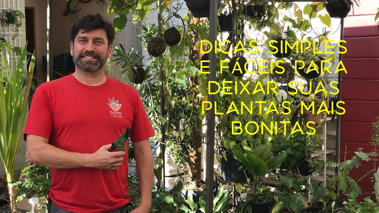 Dicas Simples e Fáceis Para Deixar as Plantas Mais Bonitas e Saudáveis Dicas Simples e Fáceis Para Deixar as Plantas Mais Bonitas e Saudáveis
