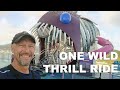 Ultimate Abyss on Symphony of the Seas