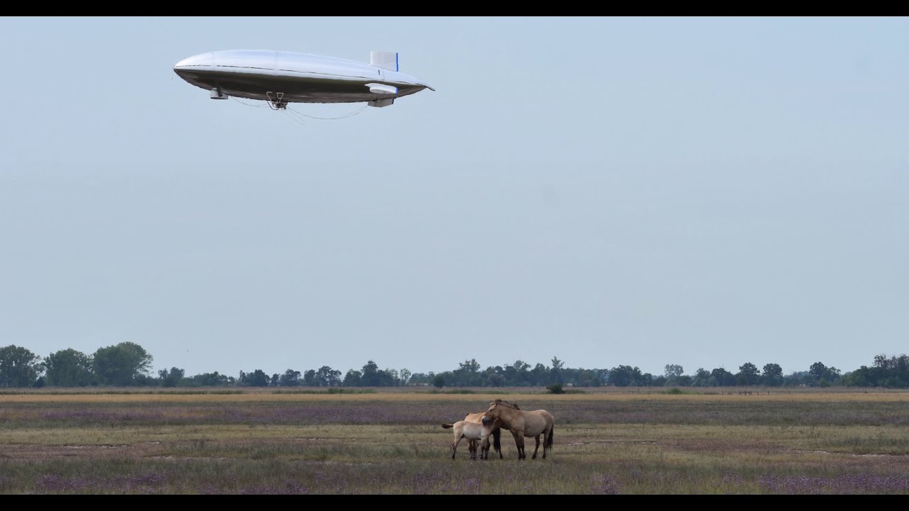 FRPG's Autonomous Blimp detects, tracks and follows a group of Przewalski's horses