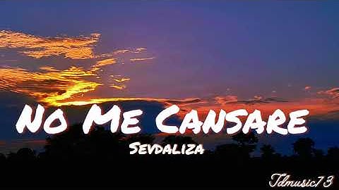 Sevdaliza - No Me Cansare , Karol G