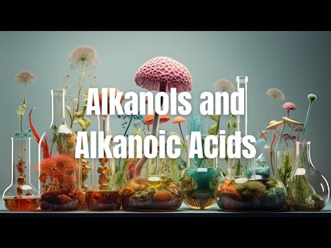 Video: Kako daš alkanom ime Iupac?