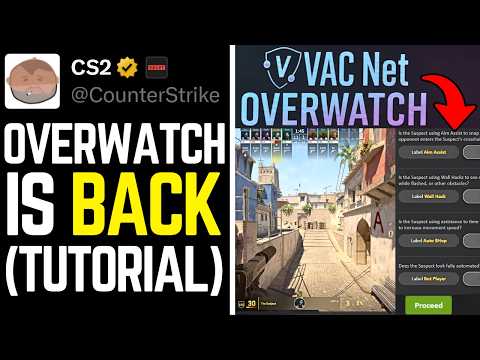 NEW CS2 Overwatch Tutorial (How To Get Access & How It Works)