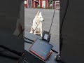 Portable VaraFM Winlink Session with Snapper