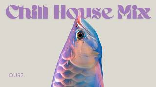 Chill House for Quiet Flow | Glass Currents and Weightless Reflections