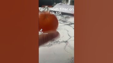 Data mosh filter on tiktok
