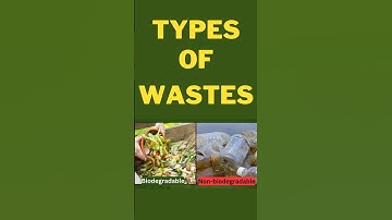Biodegradable and Non-Biodegradable Wastes: Simple Explanation with Examples!
