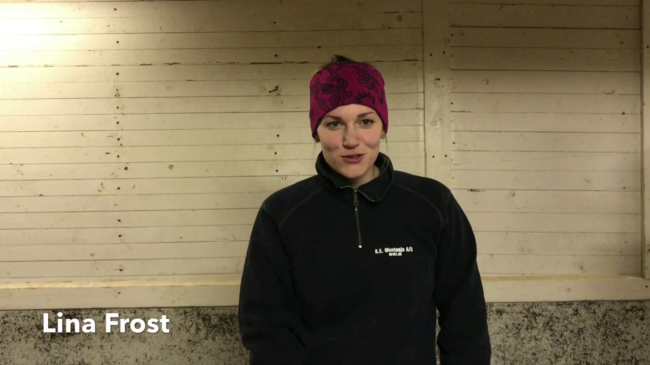 Jakten på Kungshästarna, Del 3. Brunnsbergs IF Dragkamp