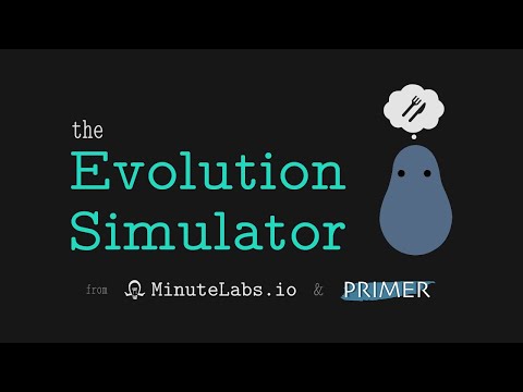 Interactive Evolution Simulator