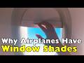Why Flight Attendants Care About Your Window Shade