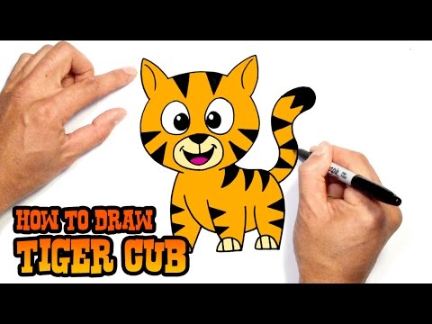 How to Draw a Tiger  Drawing Lesson for Beginners 