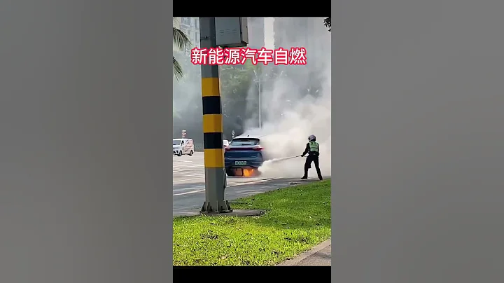 Spontaneous combustion of new energy vehicles新能源汽车自燃，中国还大力发展新能源，这是下了一盘多大的棋？ - 天天要闻