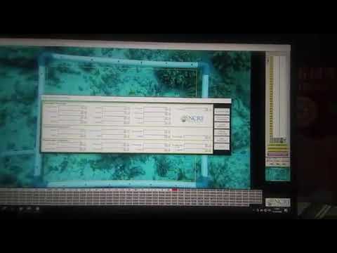 Video: Pembangunan Pangkalan Data Transkrip Bagi 14 Spesies Karang Scleractinian