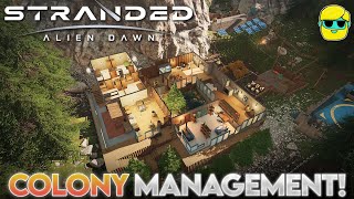 Stranded: Alien Dawn | Episode 8 | Let's Play for the First Time in 2025