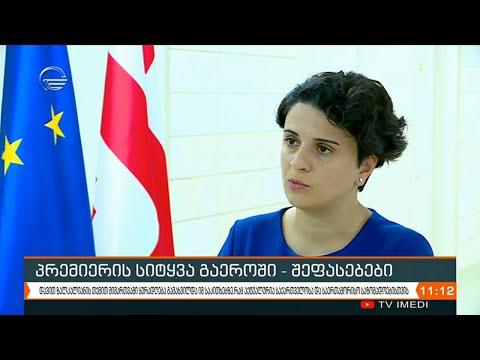 პრემიერის სიტყვა გაეროში - შეფასებები