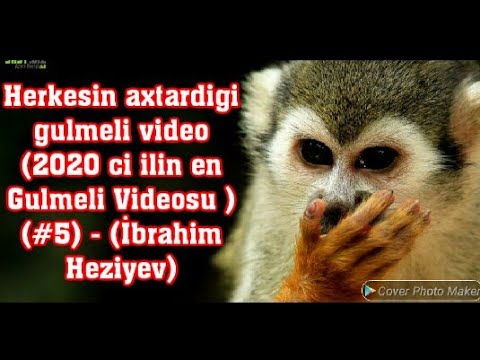 Herkesin Axtardigi Gulmeli Video (2020-Ci Ilin En Gulmeli Videosu) #5