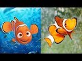 Finding Dory Characters In Real Life | All Characters 2017