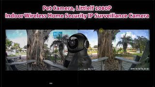 Pet Camera, Littlelf 1080P Indoor Wireless Home Security IP Camera FULL REVIEW with LIVE FOOTAGE screenshot 4