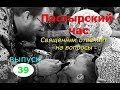 Пастырский час на радио "Град Петров". Выпуск 39