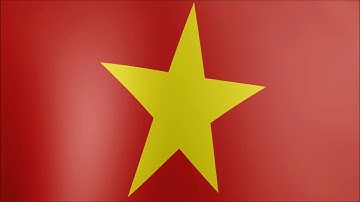 MFP Vietnam Flag 3 Hrs Long