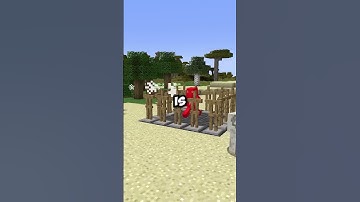 Only Pros Knew This About Shulkers