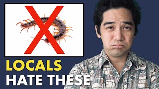 The Worst Bugs in Hawaii (as a local)