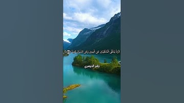تلاوة خاشعة من الشيخ د. ياسر الدوسري ❤️❤️