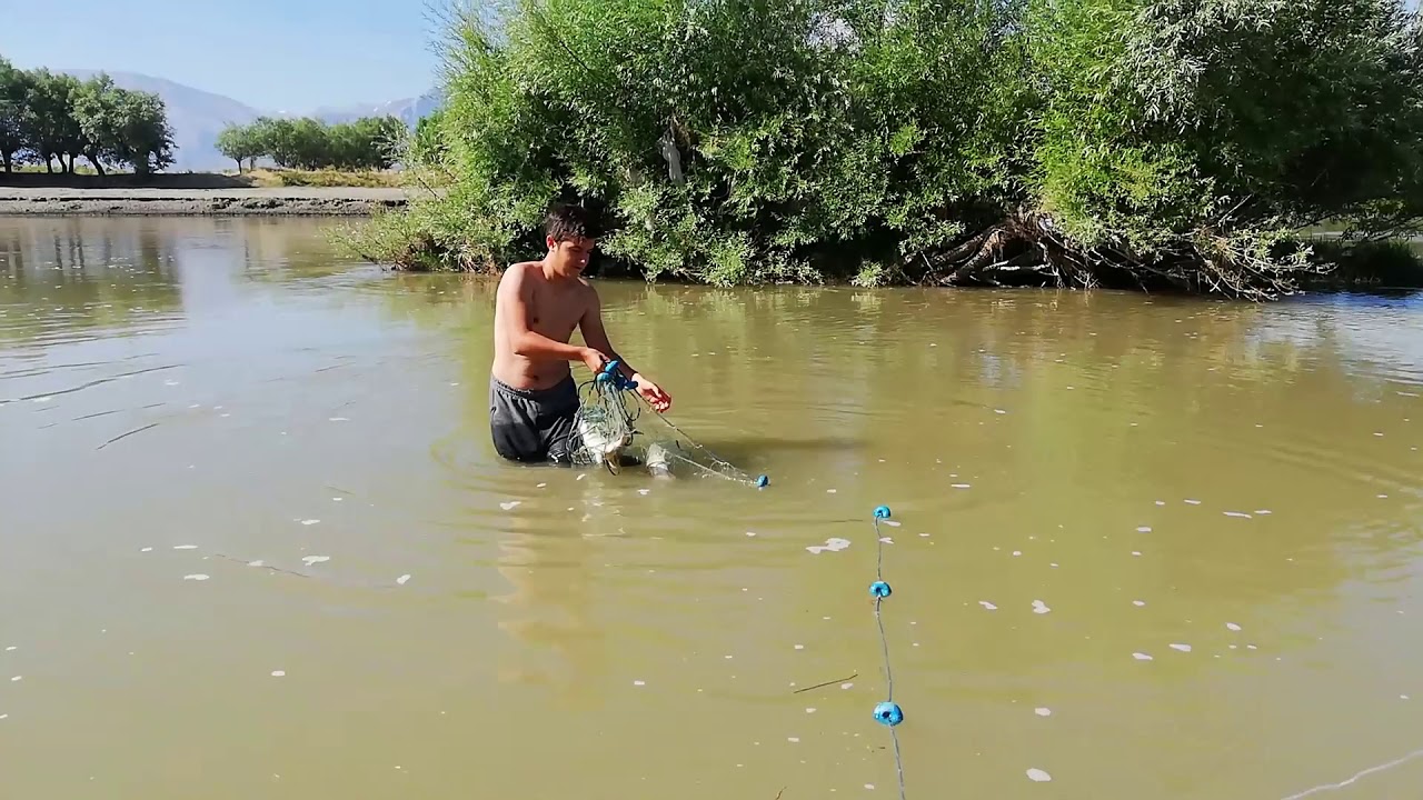 Germe İle Balık Avı