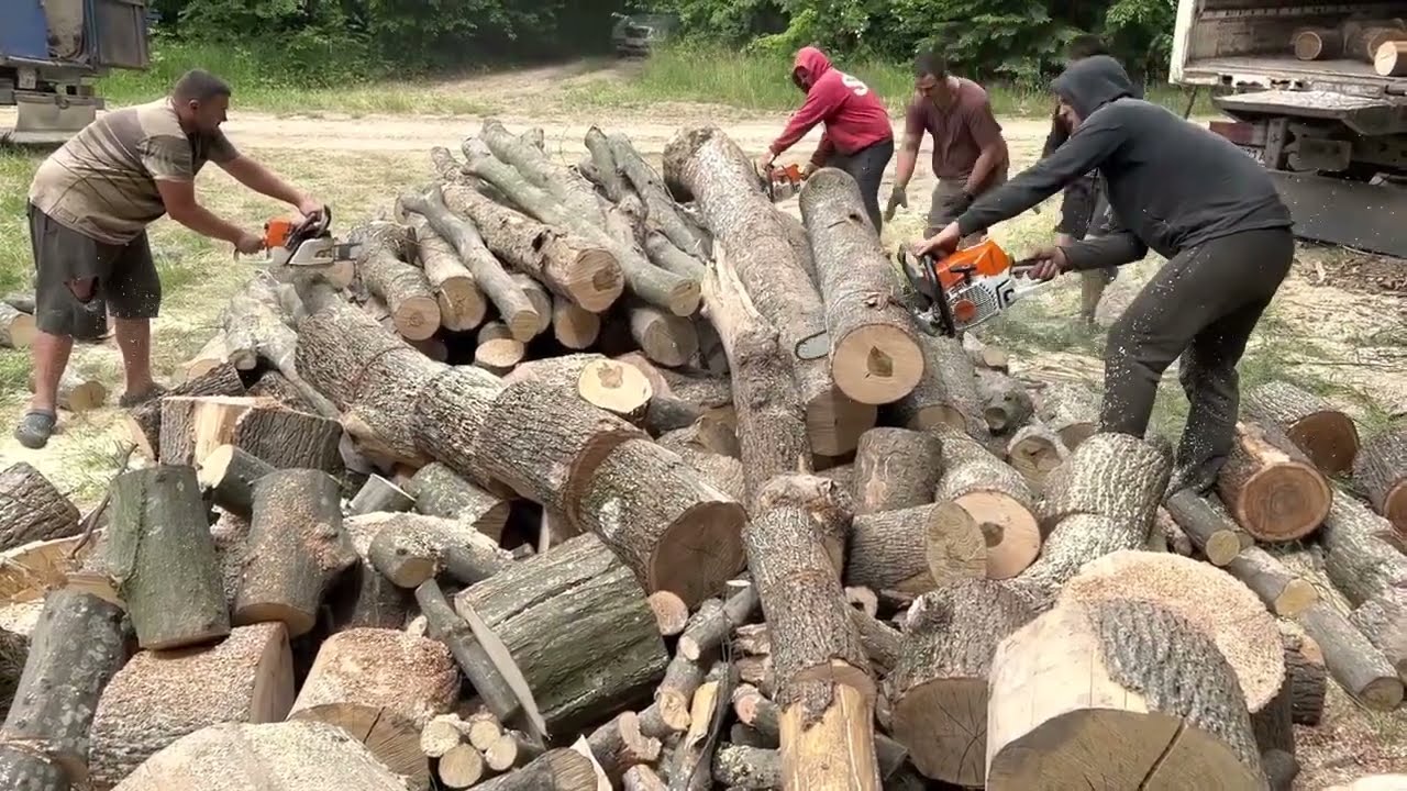 Monster Hardwood vs Stihl MS 361