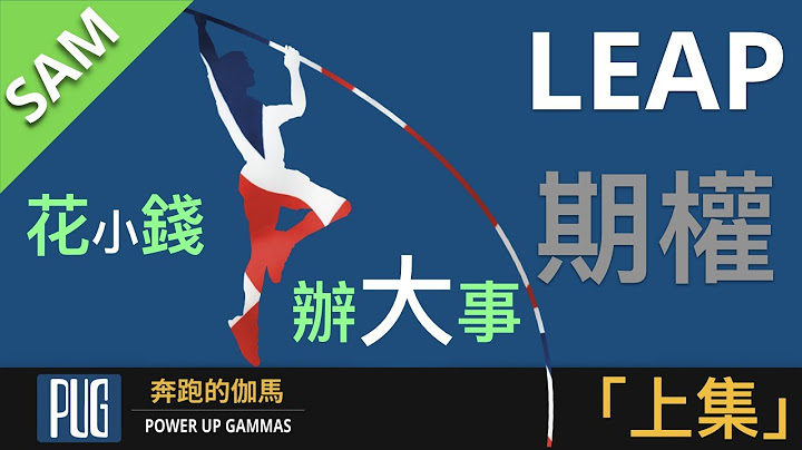 巧用LEAP期权缓解投资资金压力 [上] | LEAP Option Explained - pt 1 - 天天要闻