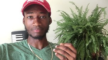 Nem (XEM) explained in 1 minute (cryptocurrency Video)