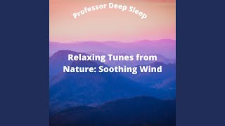 Relaxing Wind Sounds Pt.8