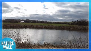 The water gently flows down the river (Nature Visualizer)