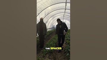 Building Sustainable Communities Through Urban Farming