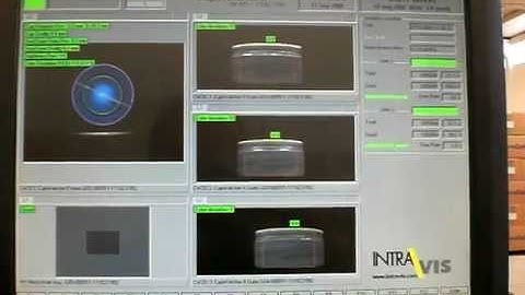 Cap inspection - Intravis