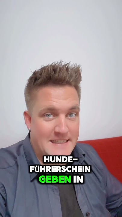 Wann Kommt Der Gefühlsklärer In Die Sehnsucht Wann kommt der Hundeführerschein? +++ - YouTube