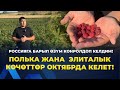 СӨЗҮБҮЗГӨ ТУРАБЫЗ! ӨСПӨЙ КАЛГАН КӨЧӨТТӨРДҮ КОМПЕНСАЦИЯ КЫЛЫП БРЕБИЗ!