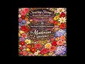 Soaring Strings Across the Continent - The New Light Symphony Orchestra - The Mantovani Experience -