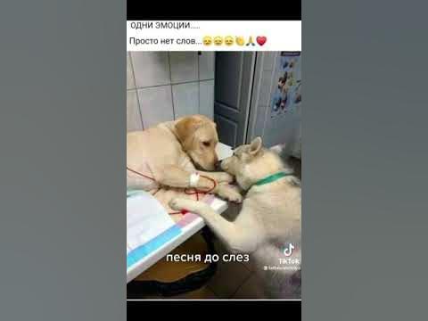 не меняет вы людское песня. не меняет вы людское песня. не меняет вы людское песня. не меняет вы людское песня. люди меняются цитаты.