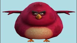 IM DA BIGGEST BIRD 🧽🧽🐦🐦