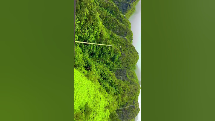 Be sure to check out our Revealed Travel Guide apps available 🎥: @mouse_hawaii (IG)
