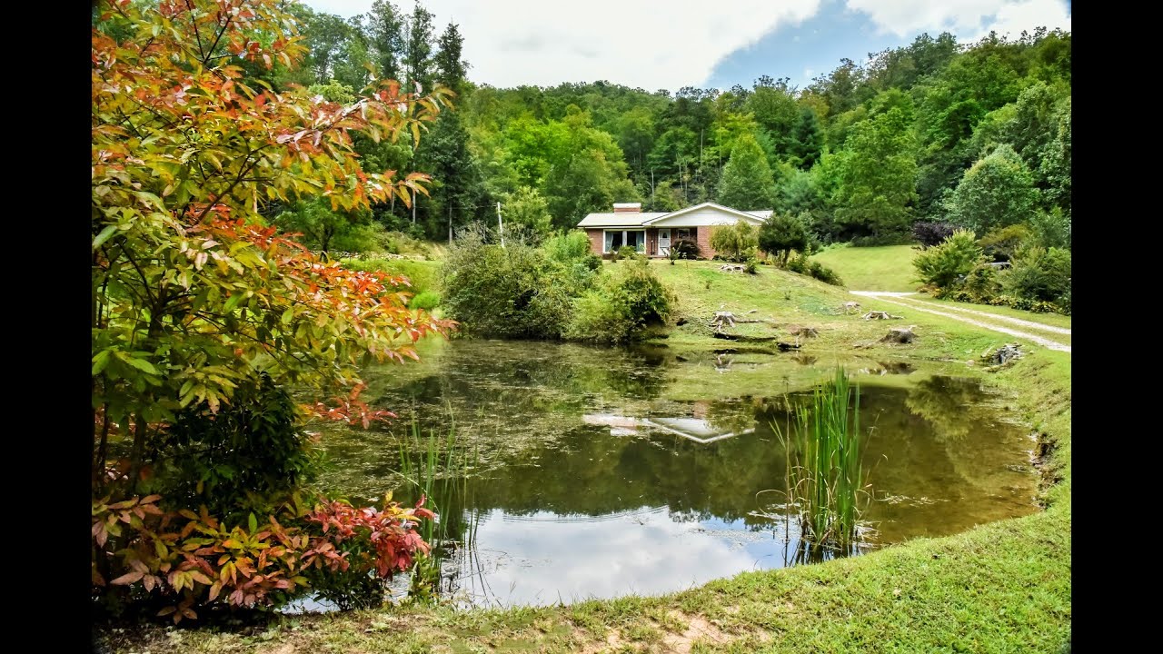 1555 Frozen Creek Road, Brevard, NC YouTube