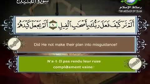 surat Al Fil Sheikh Saad Al Ghamdi سورة الفيل الشيخ سعد الغامدي