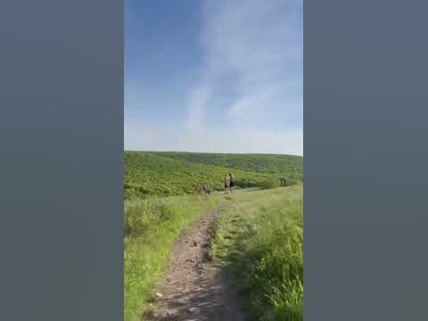 #саратов #велосипед #кумыска - YouTube