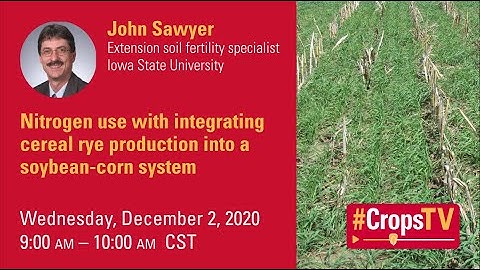 Nitrogen use with integrating cereal rye production into a soybean-corn system
