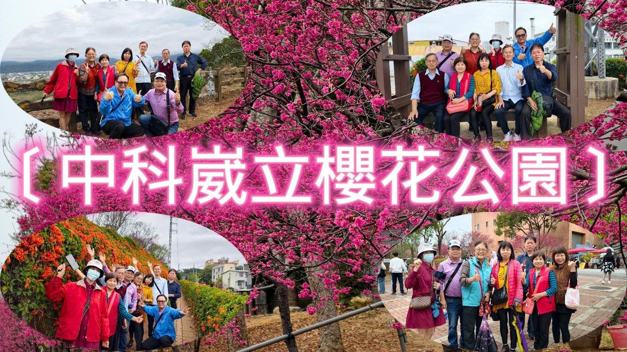 銅鑼櫻花隧道的炮杖花 盛開，蔚為奇觀。中科崴立櫻花公園，櫻花盛開，非常漂亮。                  【歌曲: 我曾像傻子一樣愛你】。