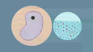 Defenition and Process Diffusion, Osmosis, Tonicity