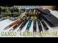 GANZOのペンケースと万年筆　モンブラン146　ペリカンM815メタルストライプ　プラチナ薫風など。