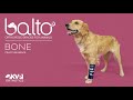 Balto® Bone – Fracture Brace