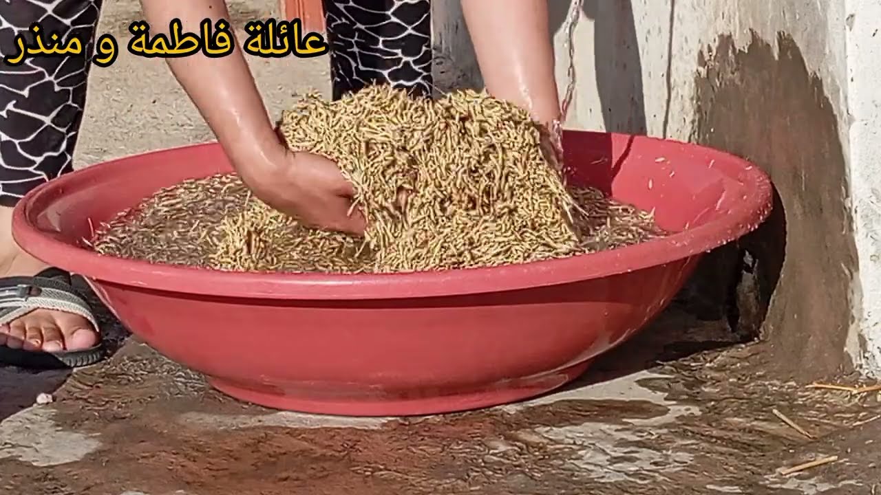 تحضير الشعير لي شربة الشعير  / كيفية تحضير شربة شعير من أول